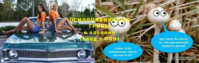 Галлюциногенные грибы ЛСД  Камышин 