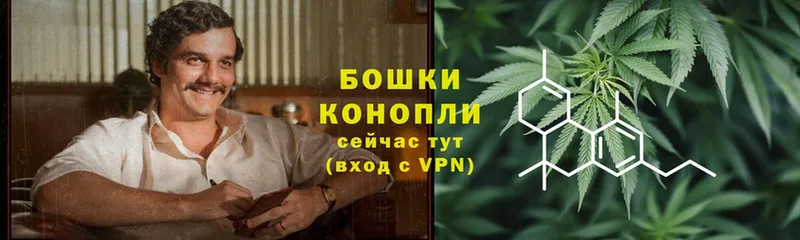 МАРИХУАНА THC 21%  OMG рабочий сайт  Камышин 